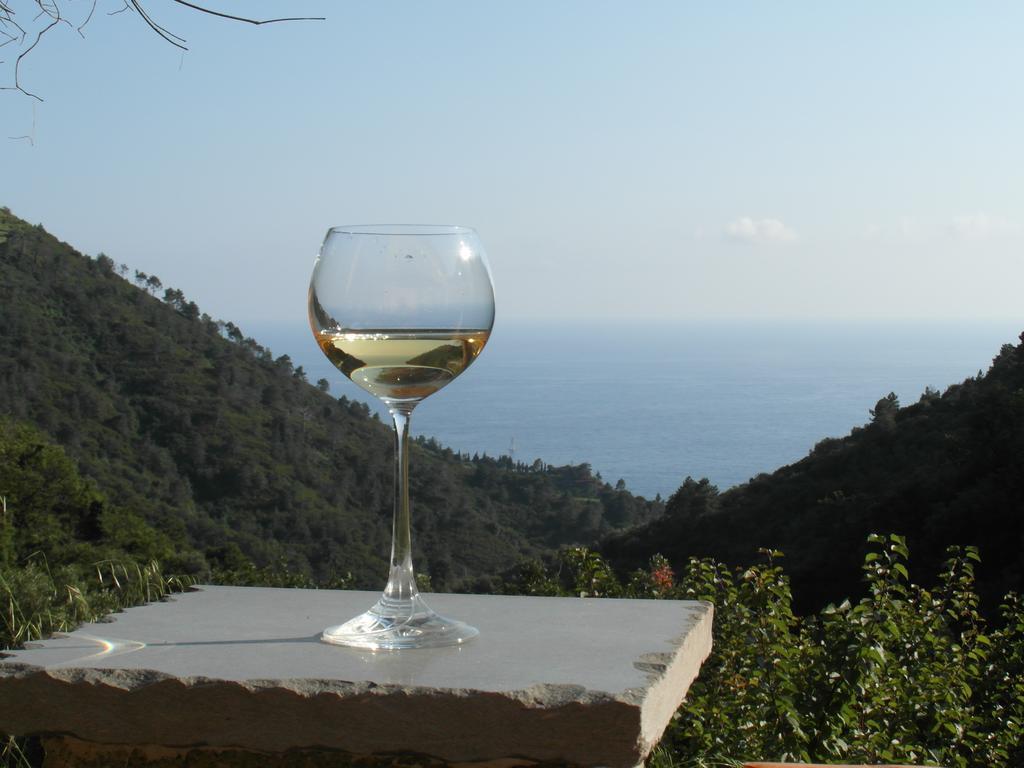 Agriturismo Costa Di Campo Vernazza Dış mekan fotoğraf