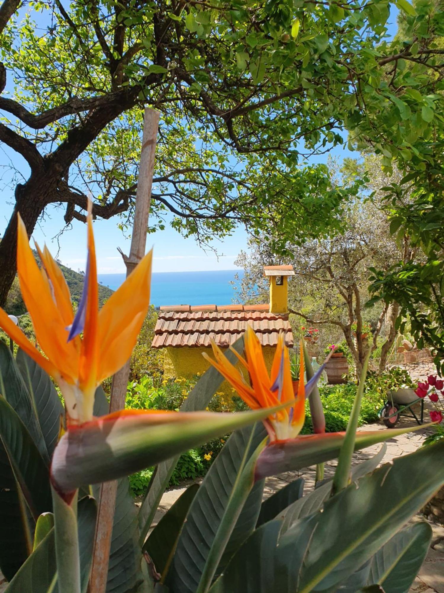Agriturismo Costa Di Campo Vernazza Dış mekan fotoğraf