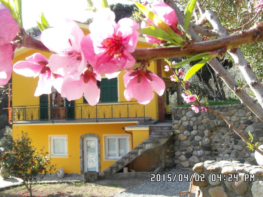 Agriturismo Costa Di Campo Vernazza Dış mekan fotoğraf