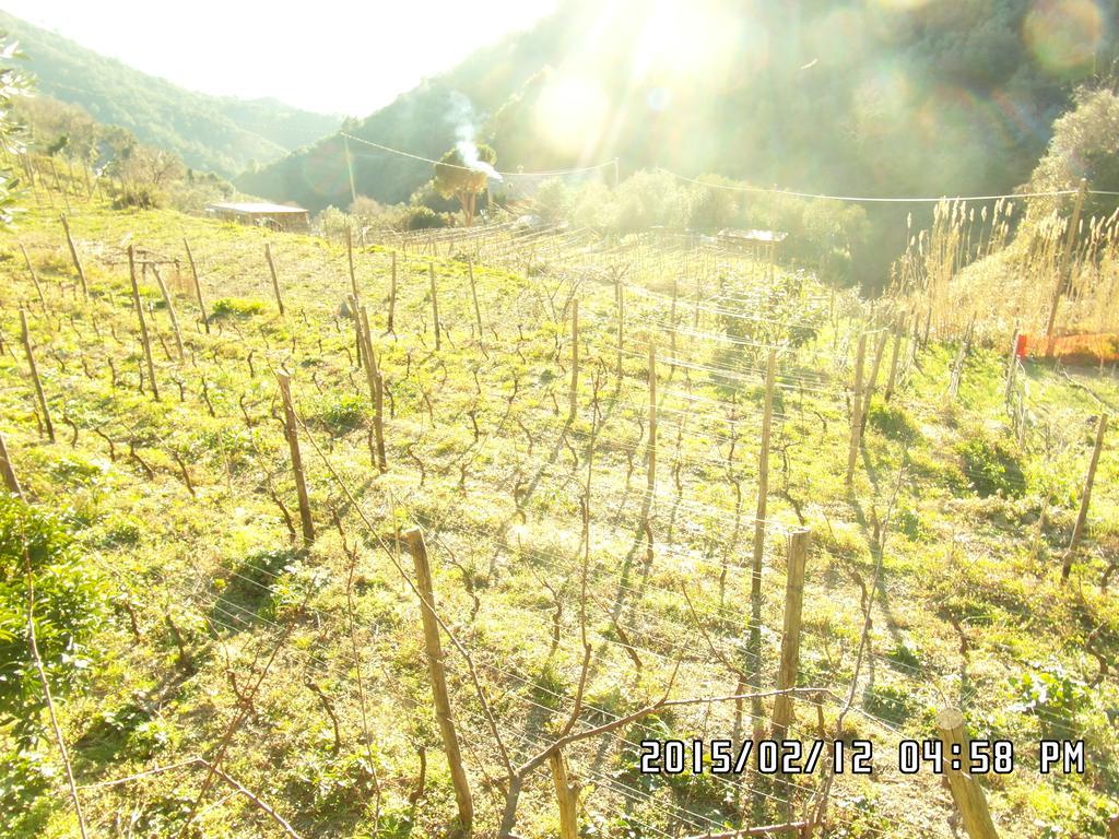 Agriturismo Costa Di Campo Vernazza Dış mekan fotoğraf