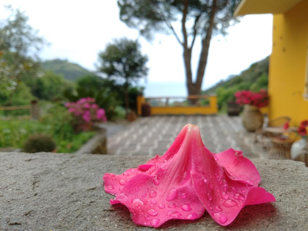 Agriturismo Costa Di Campo Vernazza Dış mekan fotoğraf