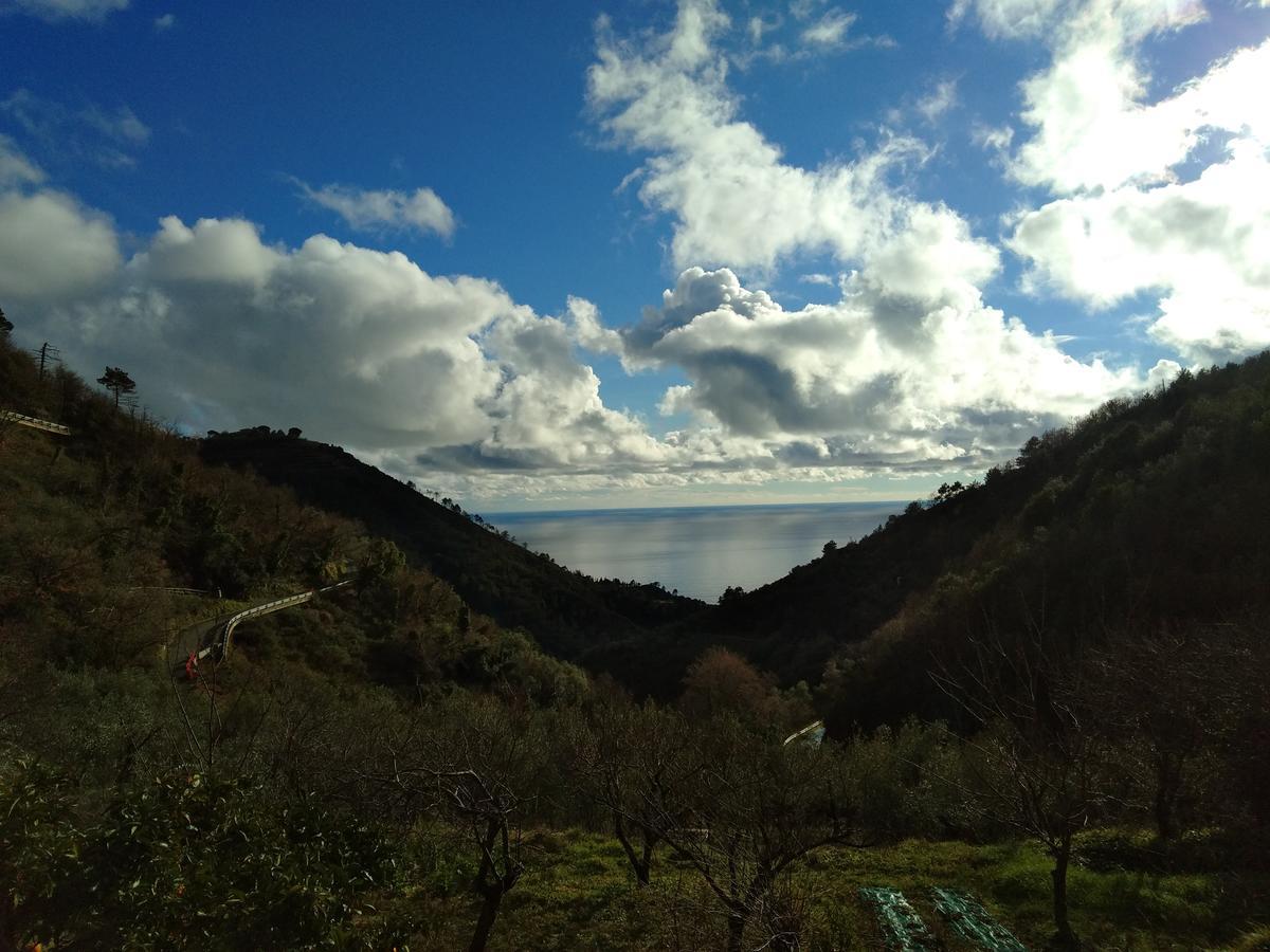 Agriturismo Costa Di Campo Vernazza Dış mekan fotoğraf