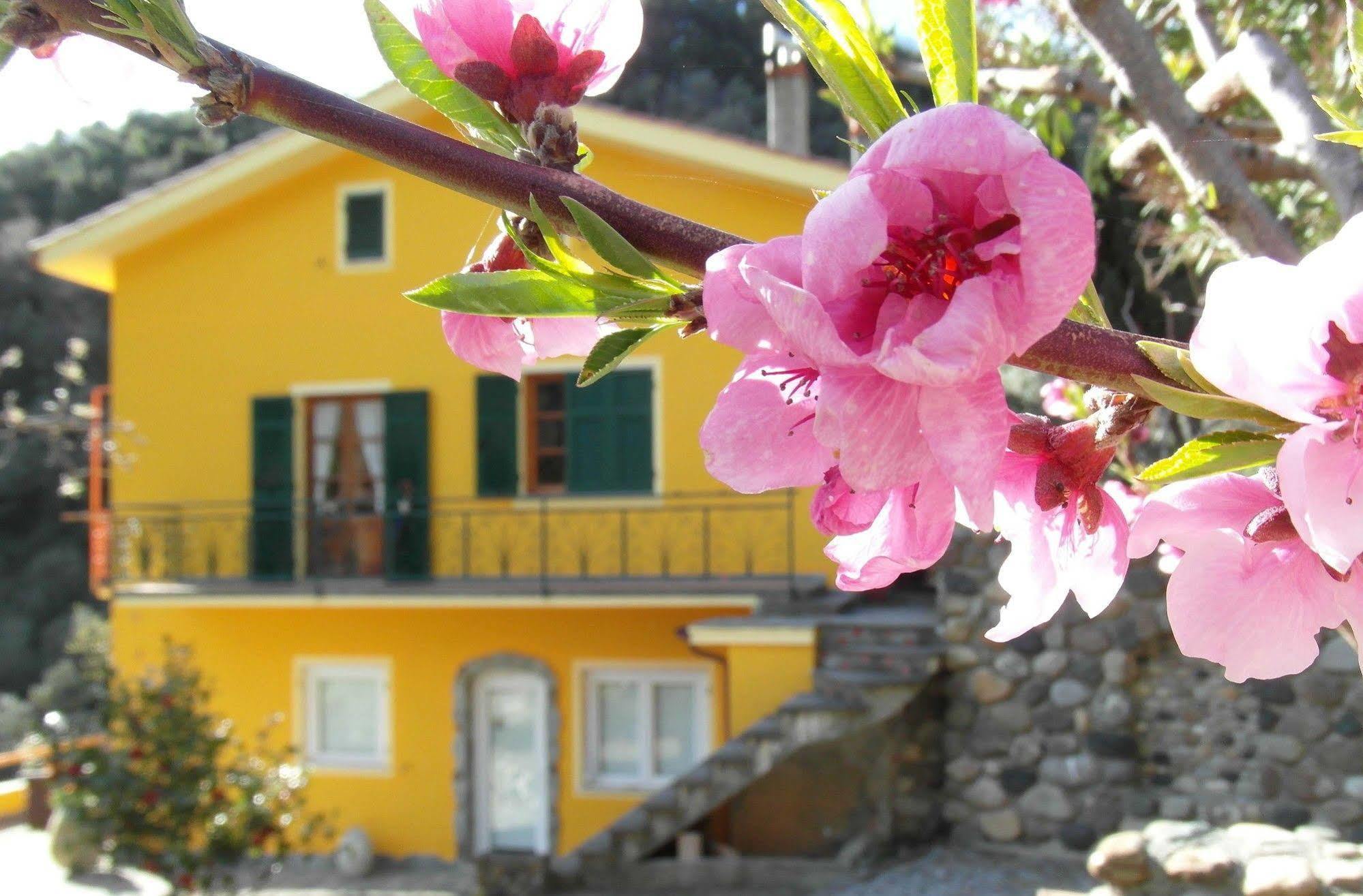 Agriturismo Costa Di Campo Vernazza Dış mekan fotoğraf