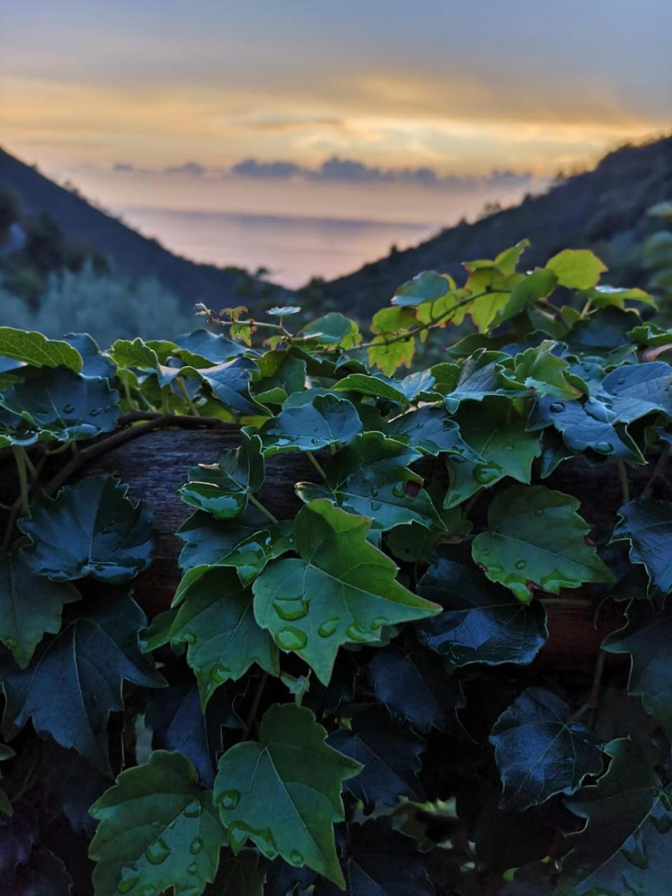 Agriturismo Costa Di Campo Vernazza Dış mekan fotoğraf
