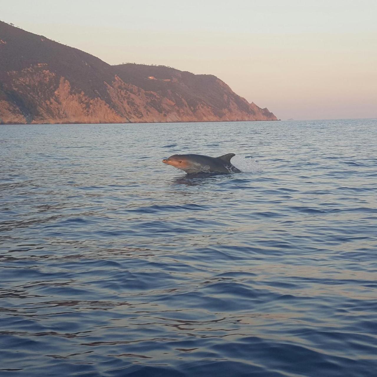 Agriturismo Costa Di Campo Vernazza Dış mekan fotoğraf