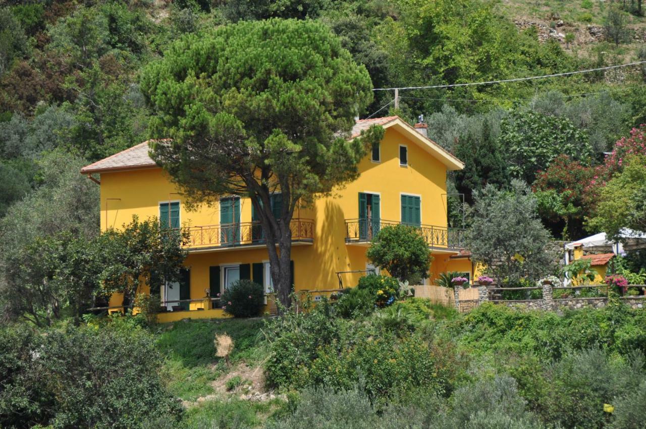 Agriturismo Costa Di Campo Vernazza Dış mekan fotoğraf