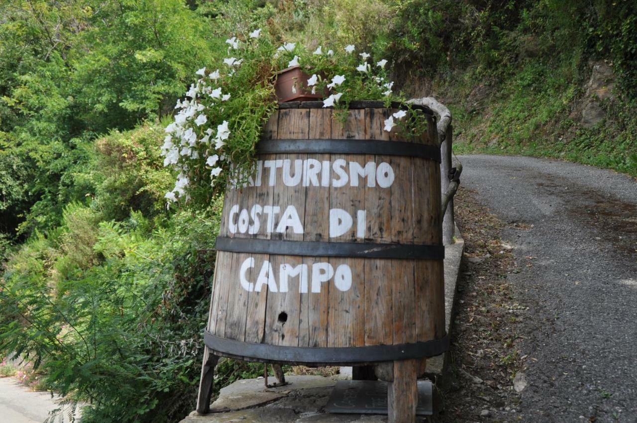 Agriturismo Costa Di Campo Vernazza Dış mekan fotoğraf