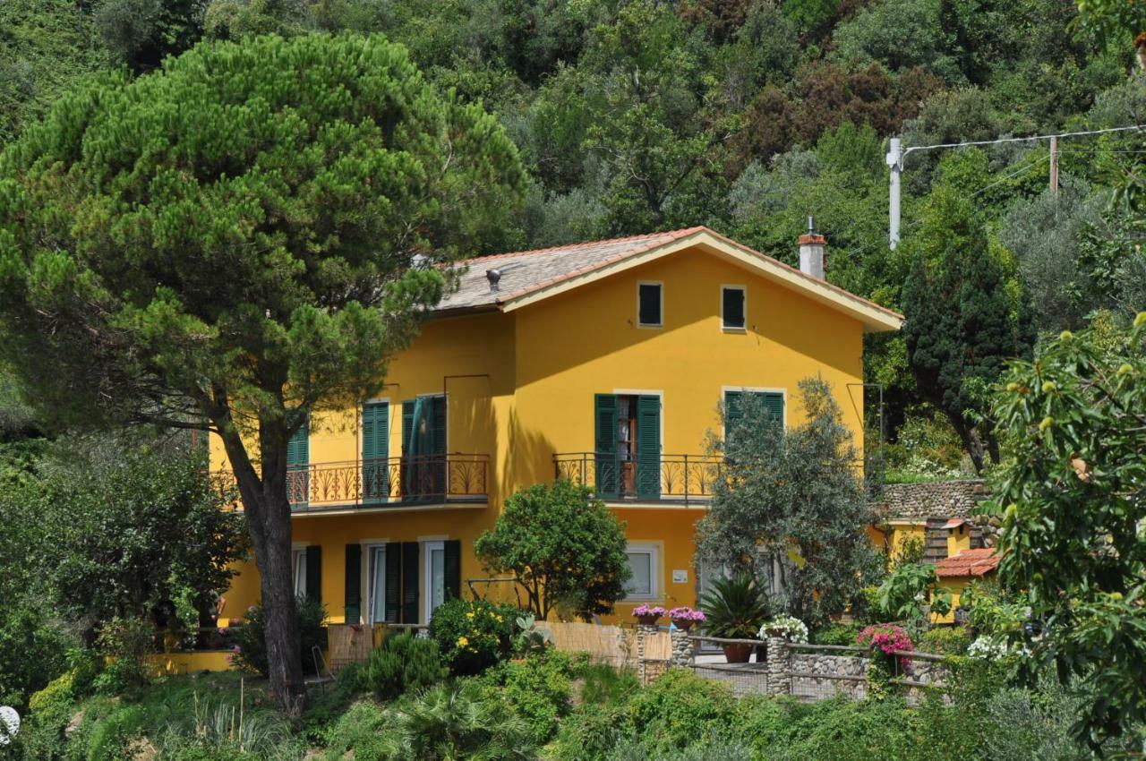 Agriturismo Costa Di Campo Vernazza Dış mekan fotoğraf
